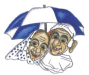 Bild vom Beitrag Narrenzunft "Der Gaudi Hans" St. Blasien e.V.