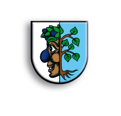 Bild vom Beitrag Pflumedrucker Narrenzunft Schutterwald e.V.